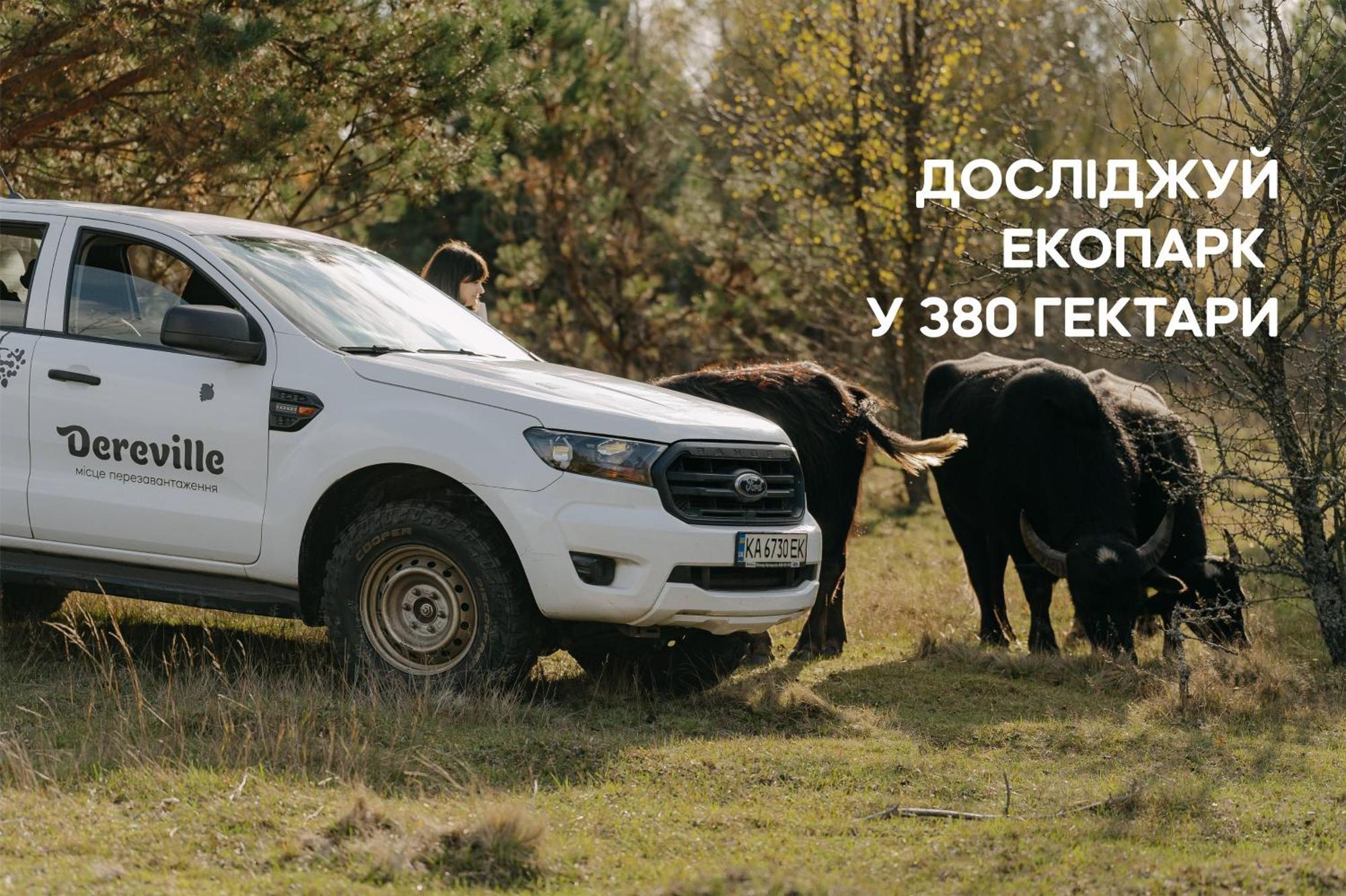 Dereville Sokolovka Kamer foto